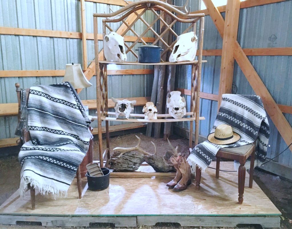 emerge ranch skulls and blankets image