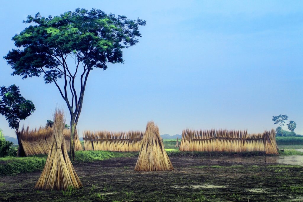African Landscape - Straw Structures